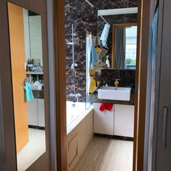 Viz At Holland (D10), Condominium #188175722